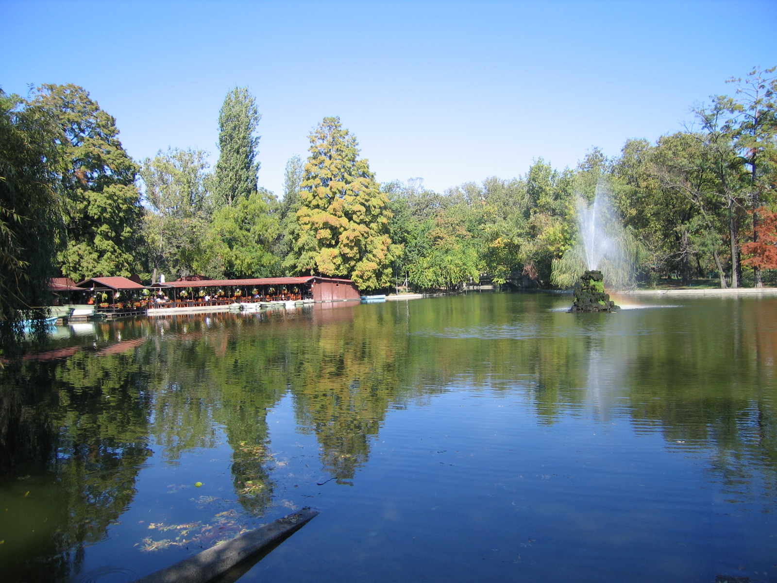 Il lago dei Giardini Cișmigiu, con alberi e fontana